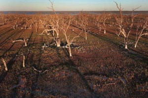 حل بحران اقتصادی آب در گرو حل مسائل سیاسی و مدیریتی کشور است