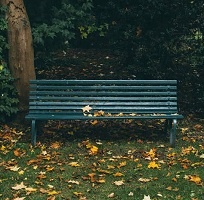 آوار شو که تنهایی آوارگی دارد...