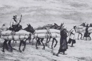 «انعکاس انتقال اجساد در حرم‌های مطهر در سفرنامه‌ها» به روایت دکتر سعید طاوسی مسرور